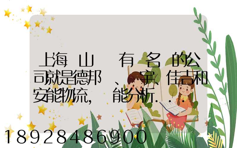 上海寶山區這有點名氣的公司就是德邦、華宇、佳吉和安能物流,誰能分析...